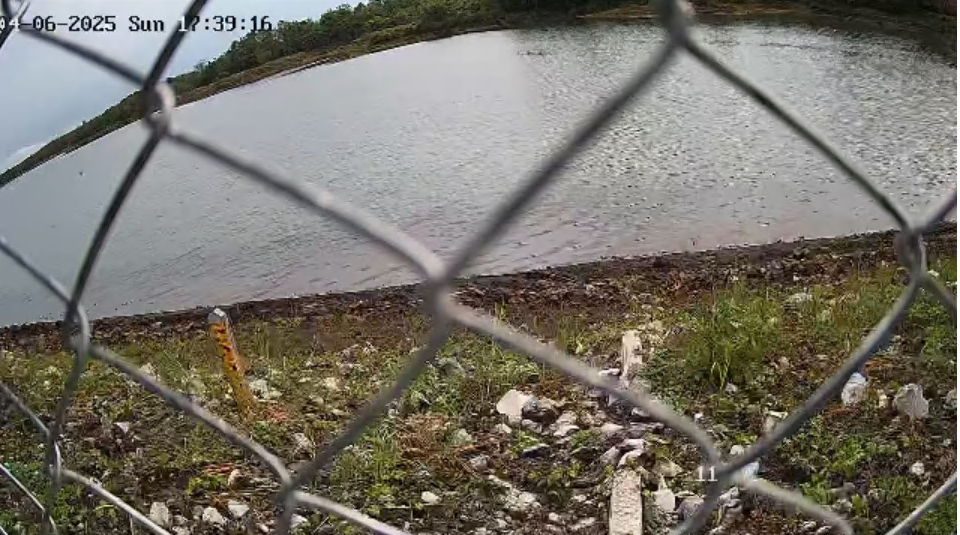 cctv10