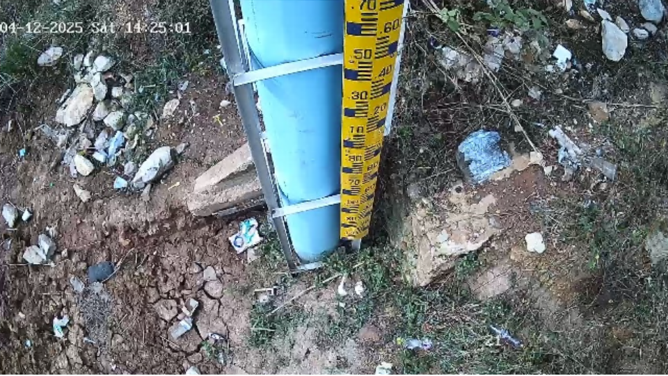 cctv17
