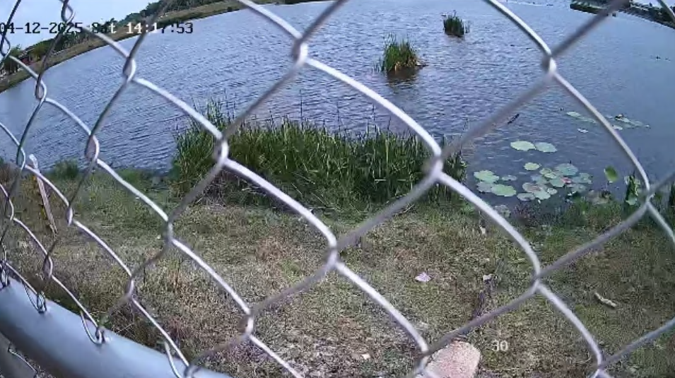 cctv20