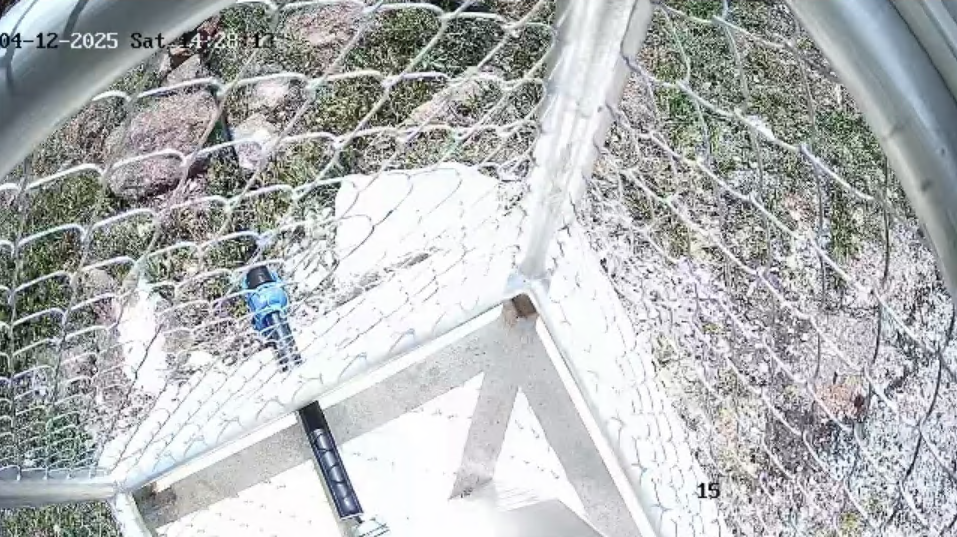 cctv24