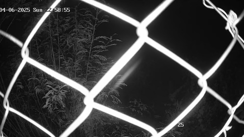 cctv28