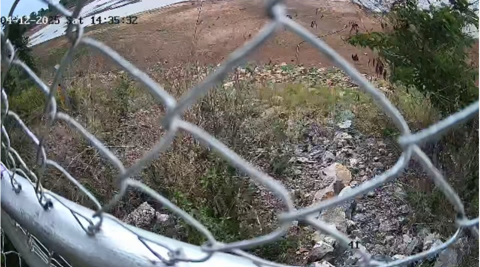 cctv11