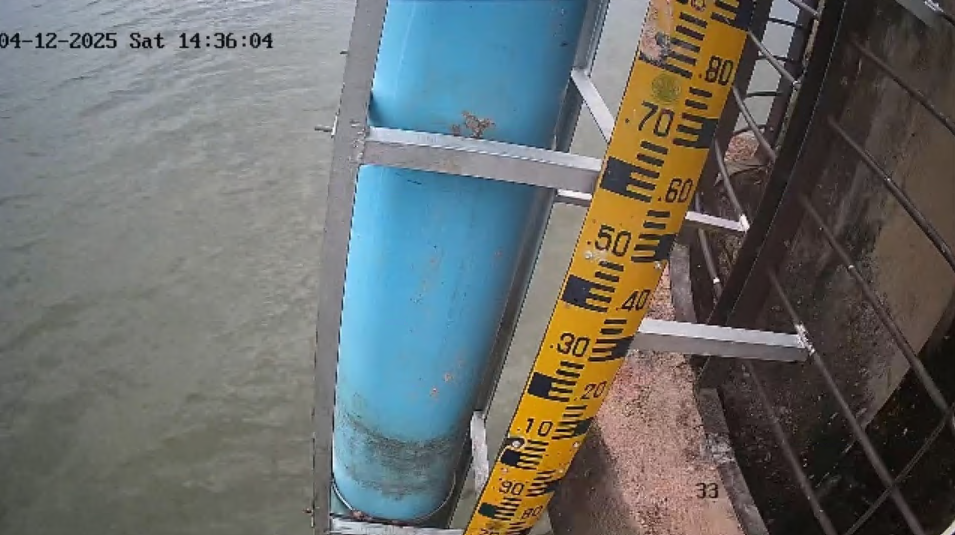 cctv15