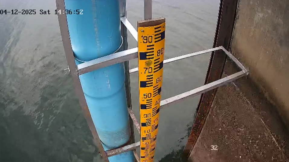 cctv19
