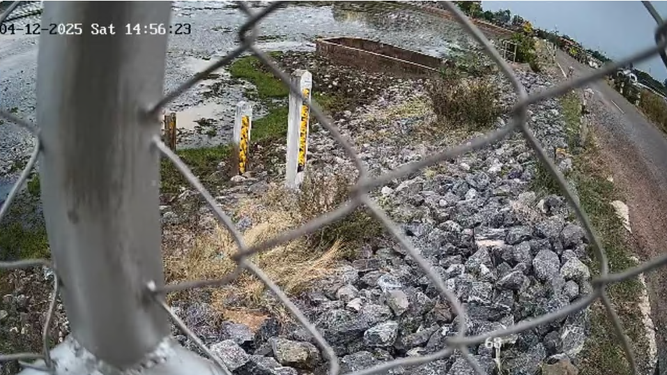 cctv19